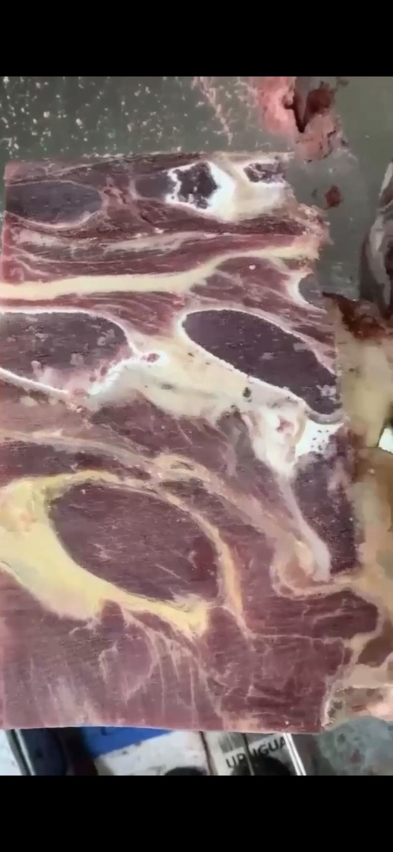 火凤肋眼皇:美食界的佼佼者