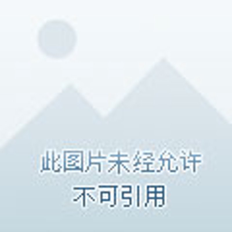 羔羊卷烘焙艺术:从手工艺到市场需求的变化